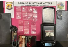 Satresnarkoba Polres Pesawaran Ringkus Pengedar Sabu