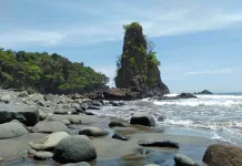 Warga Pesisir Lampung Diminta Pahami Rumus 20-20-20