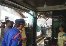 Resahkan Warga, Buaya Peliharaan di Panjang Akhirnya Dievakuasi