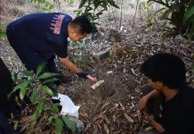 Polisi Selidiki Temuan Dugaan Janin Bayi Terkubur di Pekarangan Rumah