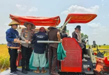 Waka Polres Mesuji Hadiri Panen Padi di Desa Bandar Anom