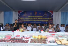 Polda Lampung Ungkap 379 Kasus Narkoba, Sita 85,9 Kilogram Sabu