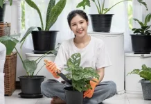 7 Tanaman yang Dipercaya Membawa Keberuntungan jika Ditanam di Rumah