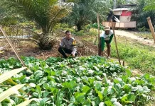 Program Ketahanan Pangan Polsek Tanjung Raya Sambang dan Binluh Warga