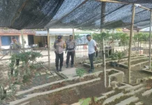 Polsek Lambu Kibang Laksanakan Pengecekan Lahan P2L Dukung Ketahanan Pangan
