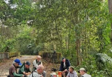 Tak Sekadar Gajah, Way Kambas Tawarkan Pesona Burung dan Wisata Alam