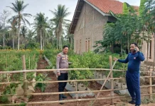 Polsek Kedondong Sambangi Lahan Warga di Pekondoh Gedung