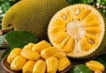 Nangka, Buah Tropis Raksasa yang Kaya Manfaat
