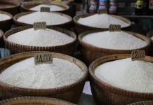 Inflasi Lampung September 2026 Capai 3,51 Persen