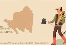 NTP Lampung Naik, Hortikultura Tumbuh Paling Tinggi