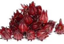 Cara Membuat Teh Rosela, Minuman Segar Kaya Antioksidan