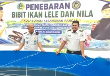 Rutan Bandar Lampung Maksimalkan Lahan untuk Ketahanan Pangan