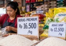 Kemarau Panjang Picu Kenaikan Harga Beras Premium
