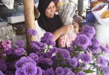 Valentine, Imlek, Ramadan, Picu Lonjakan Harga Bunga