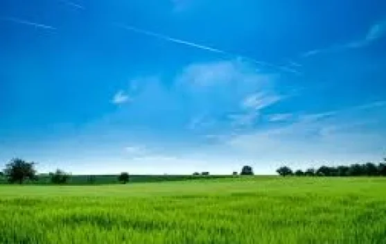 Kenapa Langit Berwarna Biru? Penjelasan Sederhana yang Mudah Dipahami