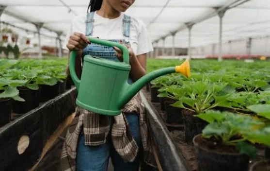 Manfaat Berkebun untuk Kesehatan dan Pikiran