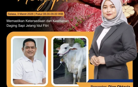 Stok Daging Sapi Lampung jelang Lebaran,aman.