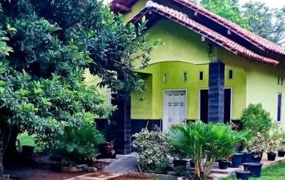 Manfaat Tanaman Hias di Halaman Rumah untuk Keindahan dan Kesehatan Lingkungan