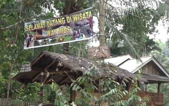 Way Mios, Wisata Sungai di Kabupaten Pesawaran