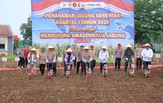 Dorong Ketahanan Pangan Penanaman Jagung Serentak Digelar di Pesawaran