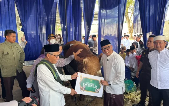 Gubernur Lampung Serahkan Sapi Bantuan Presiden ke Masjid Raya Al-Bakrie