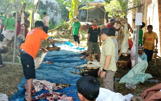 Rayakan Idul Adha, Masjid Nurul Yaqin Way Halim Permai Sembelih 31 Hewan Kurban