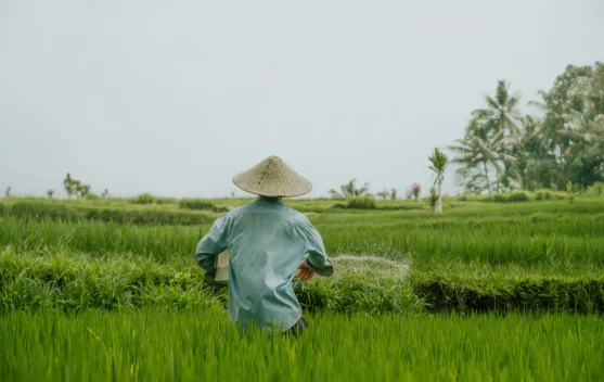 Lampung Timur Terima Alokasi Cetak Sawah Terbesar pada 2026