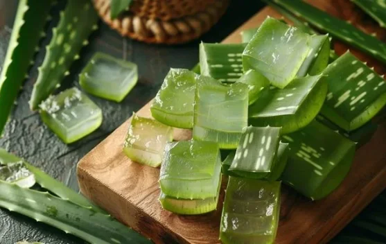 Manfaat Aloe Vera untuk Kulit, Rambut, dan Pencernaan