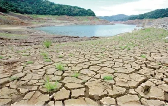 WMO: El Nino Menguat, Risiko Gelombang Panas dan Kekeringan Meningkat - RRI.co.id