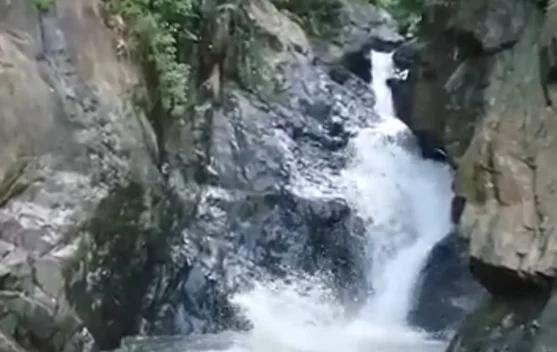 Curup Way Kerap, Surga Tersembunyi di Kaki Bukit Barisan