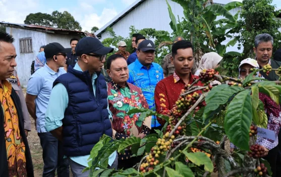 Gubernur Lampung Dorong Produktivitas Kopi lewat Pupuk Hayati Cair