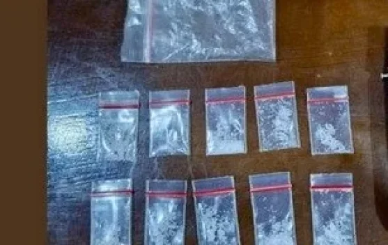 Tekab 308 Presisi Polsek Terusan Nunyai Ringkus Pengedar Sabu