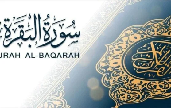 Keutamaan Membaca Dua Ayat Terakhir Surat Al-Baqarah pada Malam Hari