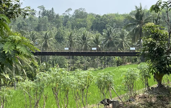 Hampir Seabad, Talang Tua Bumiayu Masih Mengantar Air ke Sawah