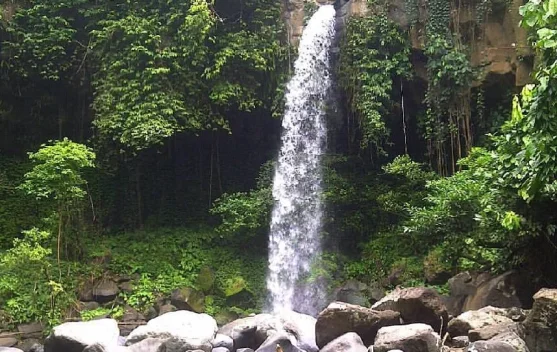 Air Terjun Way Lalaan, Destinasi Wisata Alam Sejuk di Kota Agung Tanggamus