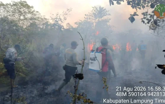 Karhutla di Indonesia Jadi Ancaman Serius, Pencegahan Diperkuat