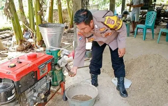 Bhabinkamtibmas Pringsewu Olah Ampas Singkong Jadi Pakan Ternak