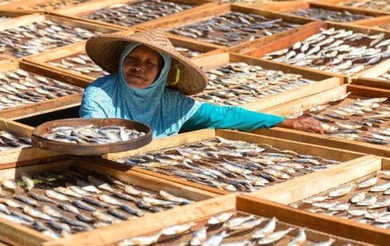 Tips Sederhana Ibu Rumah Tangga Memilih Ikan Asin yang Aman Dikonsumsi ...
