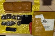 Jaringan Narkoba Medan–Bali Dibongkar, Polda Lampung Sita 6 Kilogram Ganja