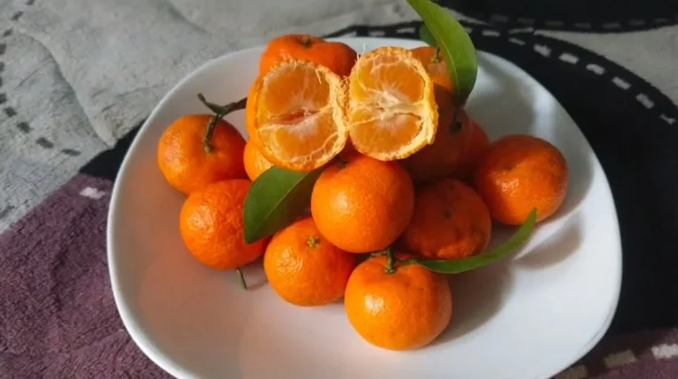 Jeruk Mandarin: Buah dalam Perayaan Imlek