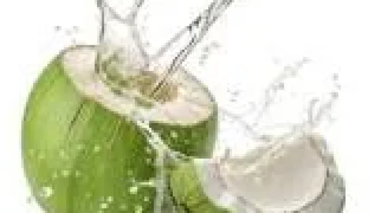 Sederet Manfaat Air Kelapa untuk Buka Puasa