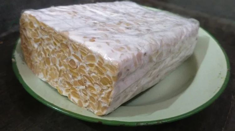 Sekilas Tentang Tempe Makanan Fermentasi dari Kedelai