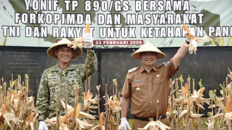 Panen Raya Jagung, Pemkab : Strategi Stabilitas Pangan