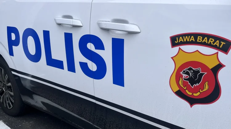 Polisi dan BKSDA Tindak Lanjut Laporan Monyet Peliharaan Lepas yang Gigit Warga