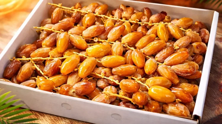 Kurma saat Ramadhan: Tradisi, Energi, dan Manfaat bagi Kesehatan