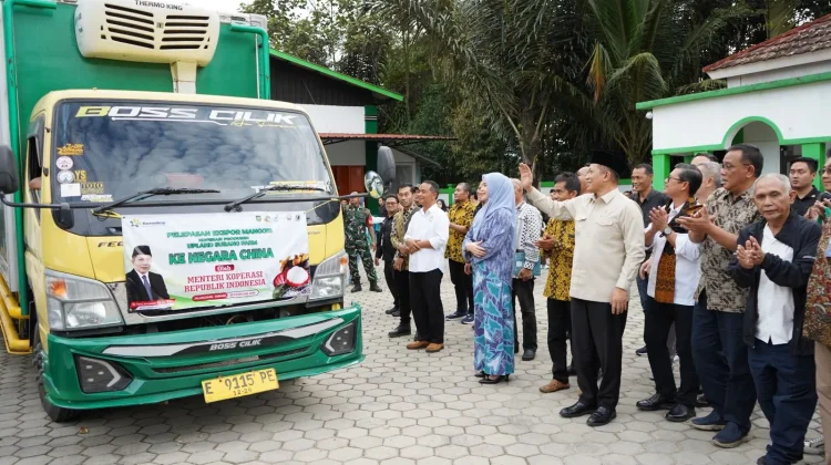Buah Manggis Subang Tembus Pasar Ekspor ke China