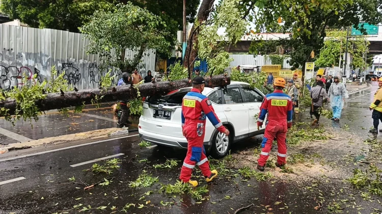 Dua Penumpang Selamat saat Pohon Tumbang Timpa Mobil di Sulanjana