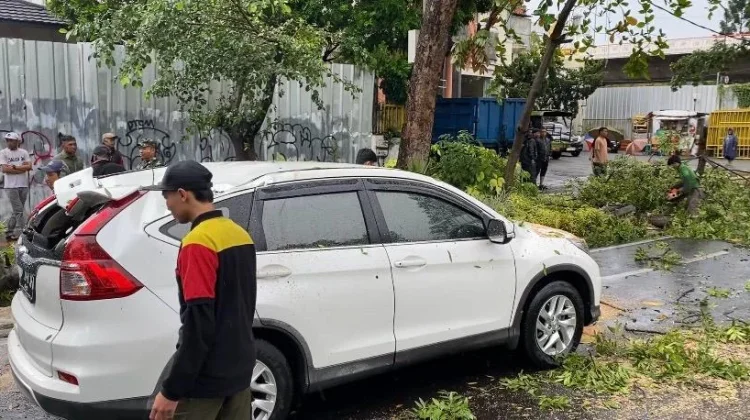 Hujan Deras dan Angin Kencang Terjang Bandung, 8 Pohon Tumbang di Sejumlah Titik