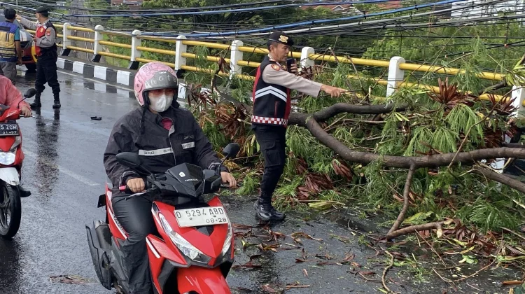 Hujan Disertai Angin Kencang Landa Bandung, Pohon di Soetta dan Titik Lain Tumbang