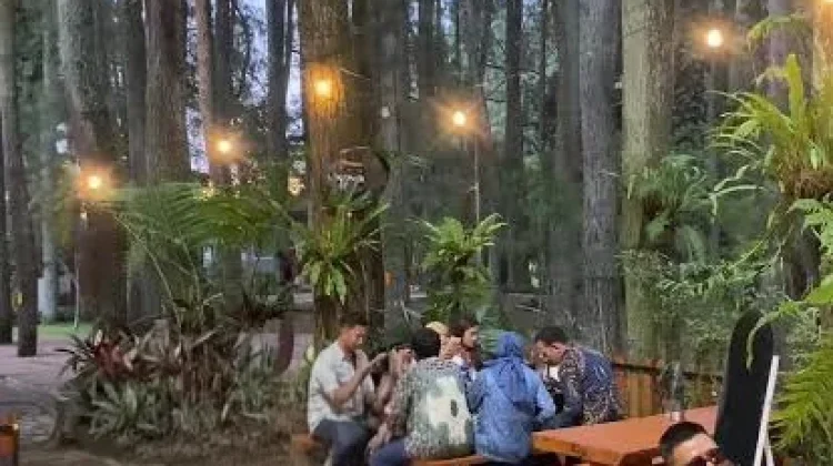 Wisata Tahura di Tempat Kopi Garung, Sensasi Ngopi di tengah Alam